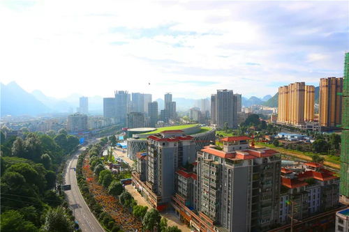 關于打印六馬物資領取單這件 小 事兒